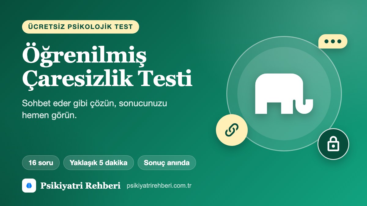 Öğrenilmiş Çaresizlik Testi