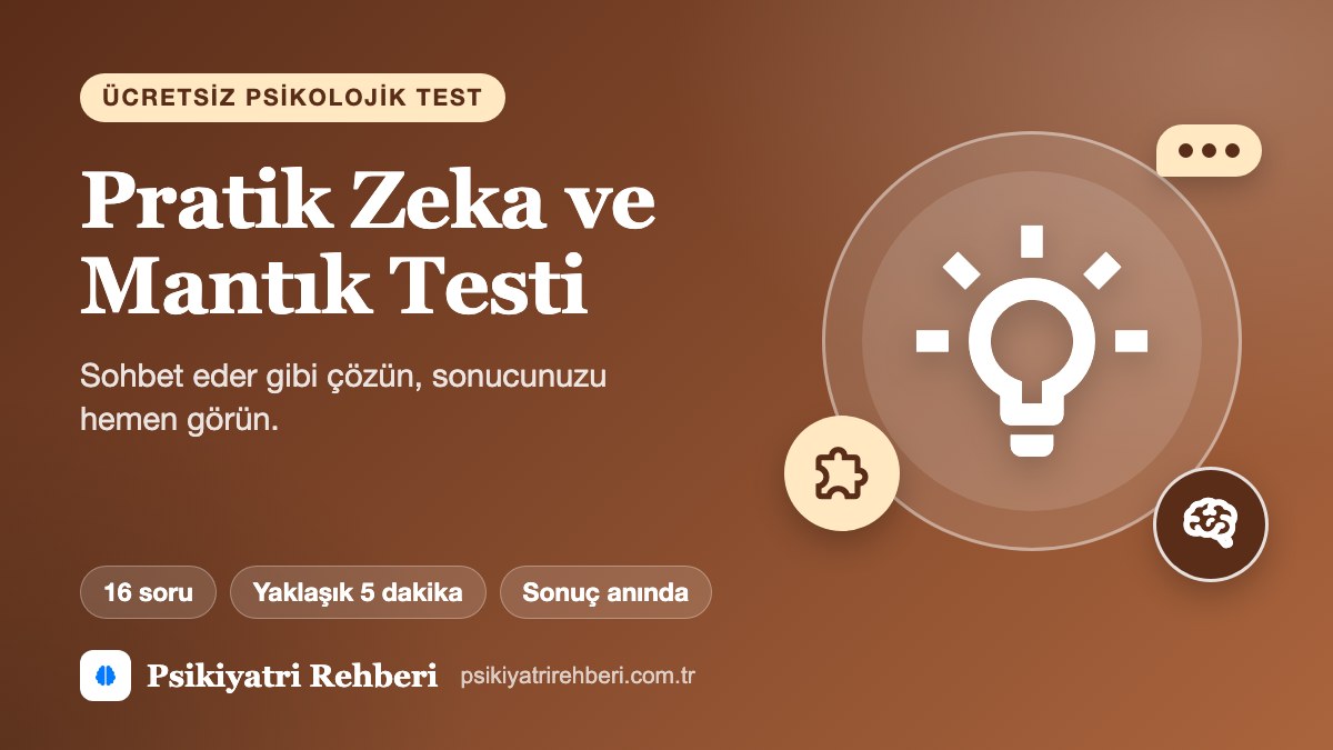 Pratik Zeka ve Mantık Testi