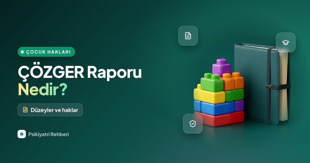 ÇÖZGER Raporu Nedir? Özel Gereksinim Düzeyleri ve Haklar