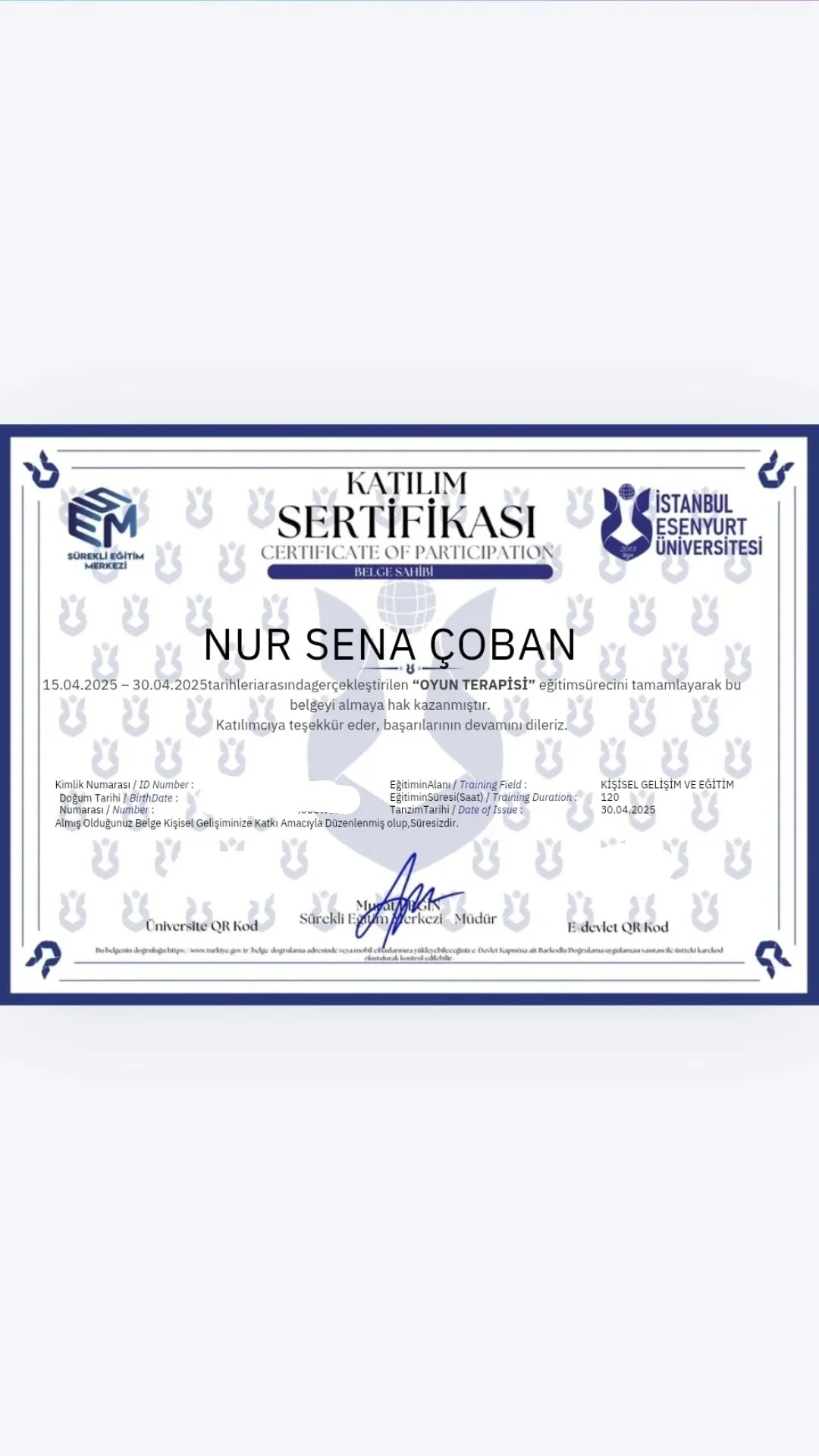 Oyun Terapisi