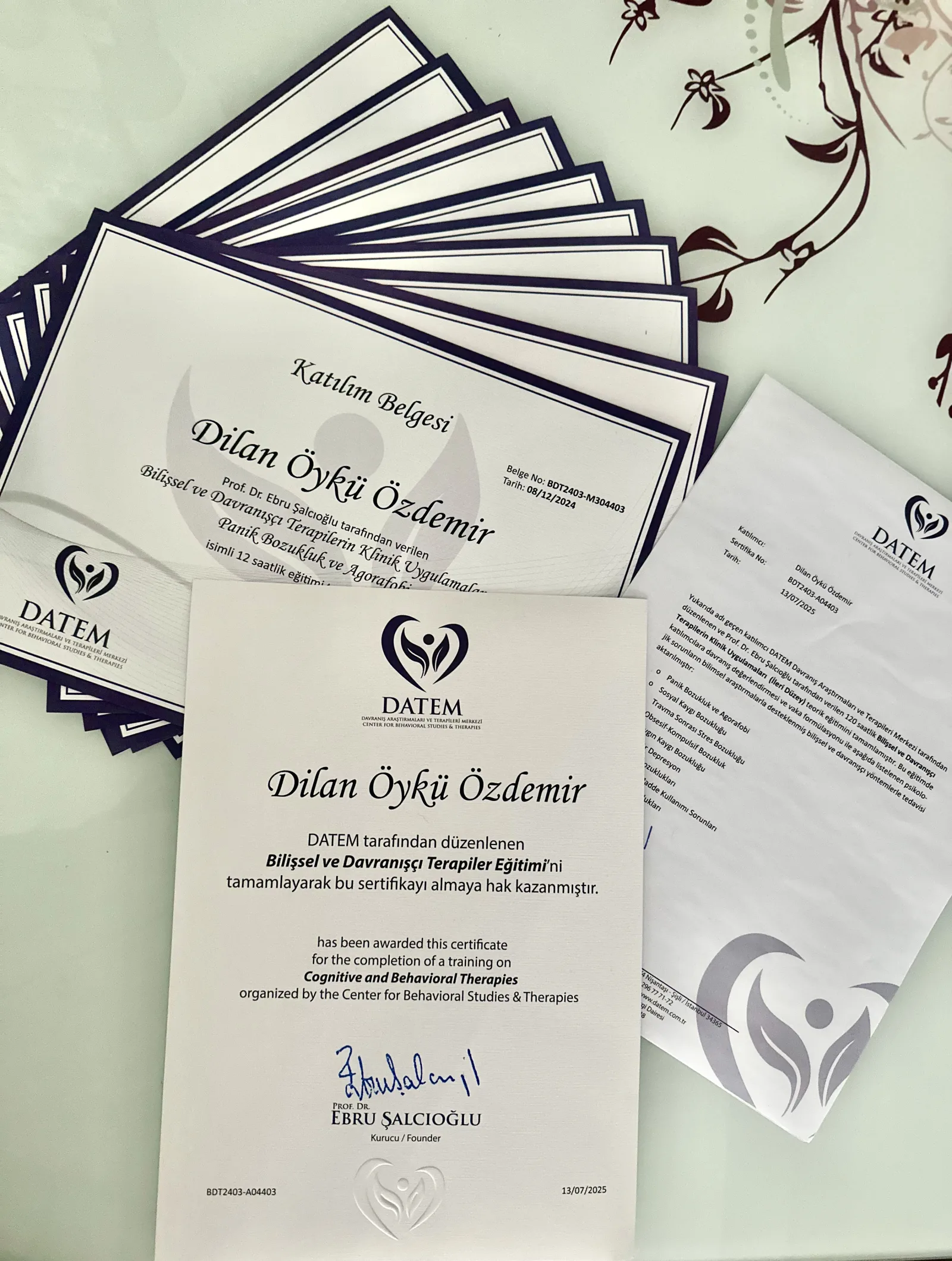 Bilişsel ve Davranışçı Terapi