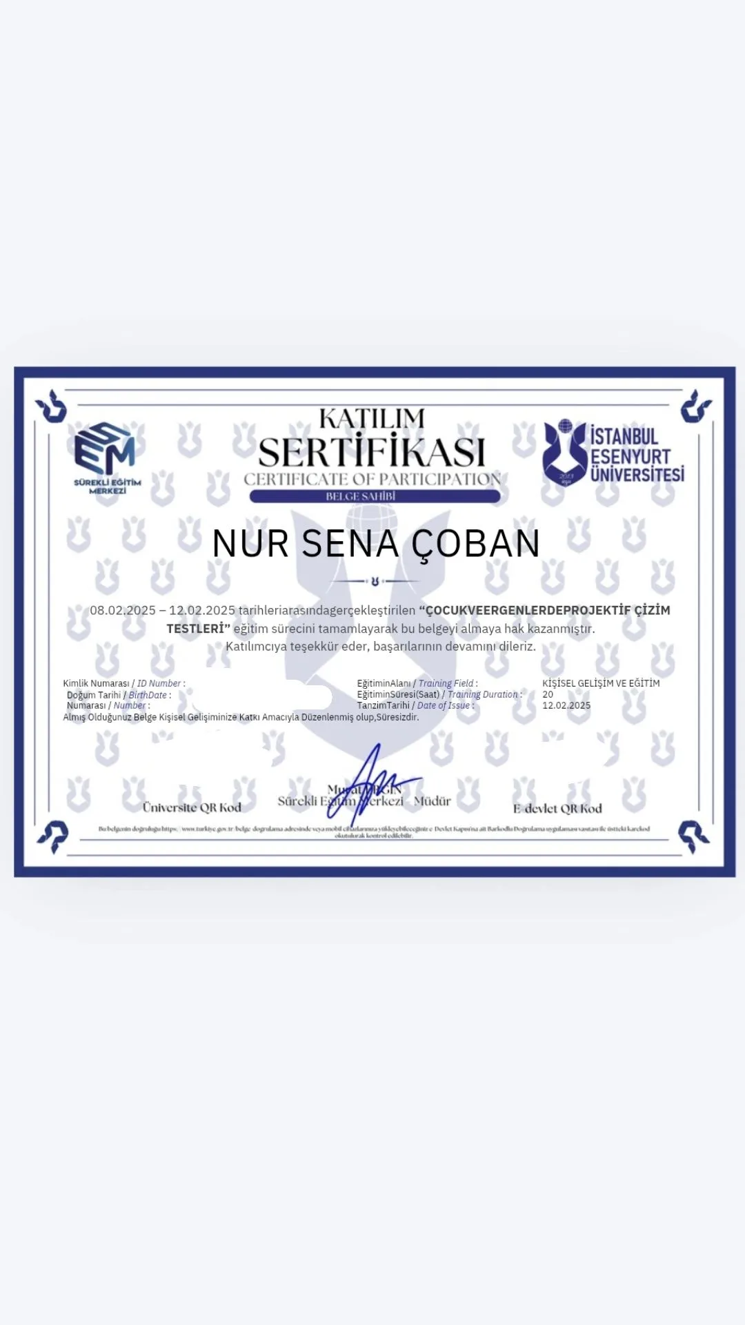 Çocuk ve Ergenlerde Projektif Çizim Testleri